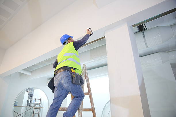 Best Attic Mold Removal  in Santa Clara, UT